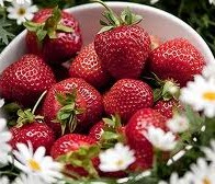imagesCAOYSZ6I